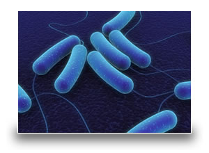 Antimicrobial Surfaces